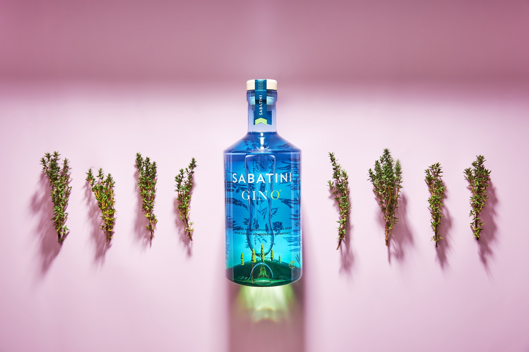 Una bottiglia di gin Sabatini GinO° con a fianco rametti di spezie