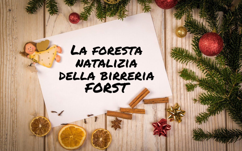 Foresta natalizia