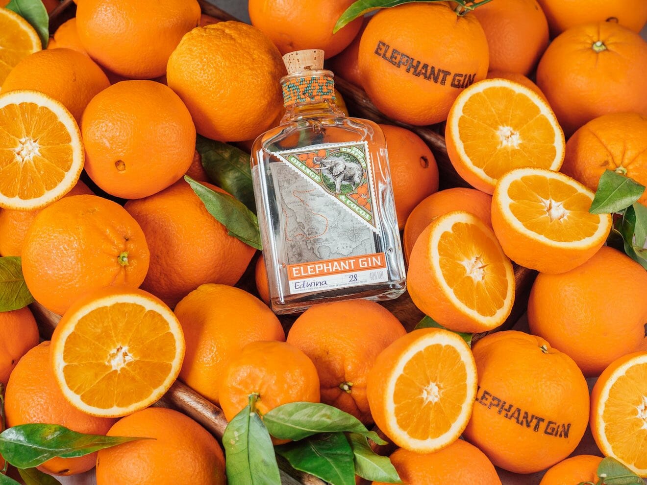 bottiglia di gin in mezzo alle arance