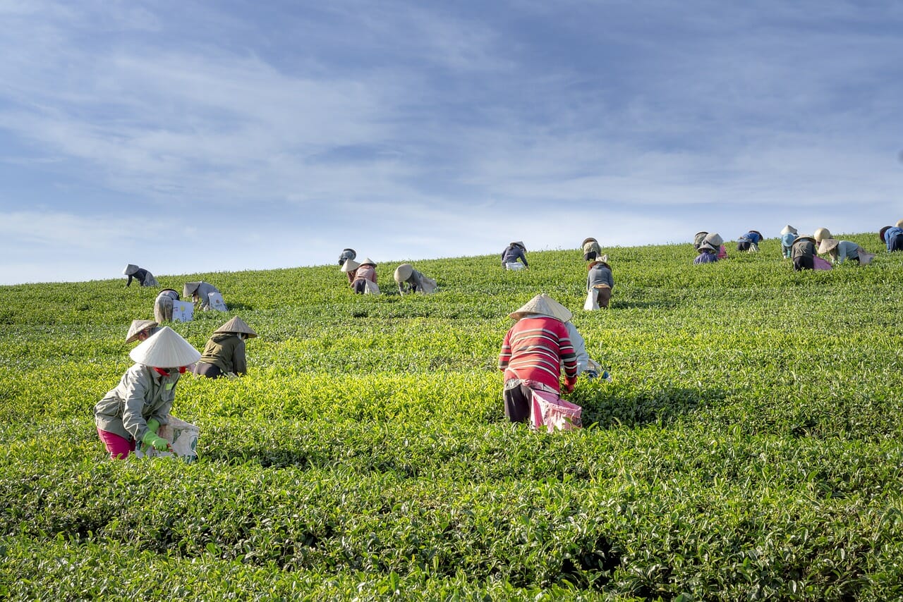 donne in agricoltura